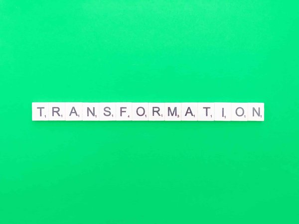 Révolutionner votre entreprise grâce à une culture organisationnelle novatrice