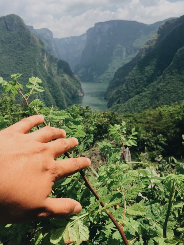 Camping en Ardèche : pour découvrir des endroits pittoresques