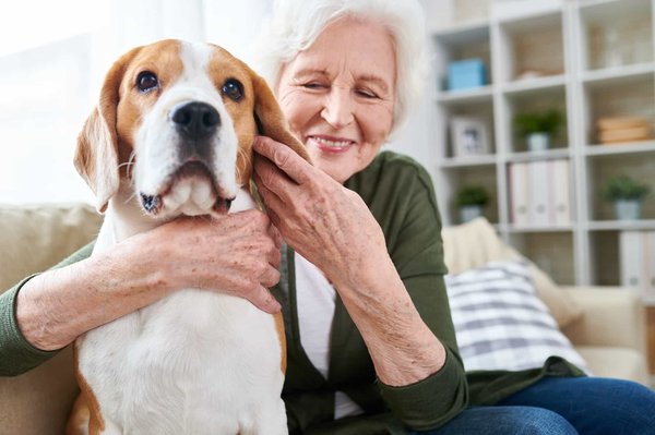 Adopter un animal senior : pourquoi et comment