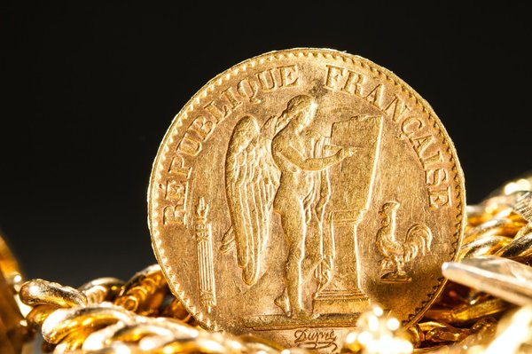 Stratégies de sauvegarde financière avec les 20 francs Or Marianne Coq